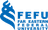 Far Eastern Federal University (FEFU) Logo